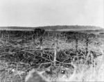 25 avril 1918 - 165 th infantry