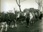 Réfugiés - Novembre 1944