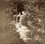 Avril 1917