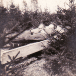 Mai 1917