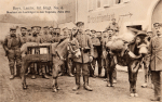 Bayr. Landw. Inf. Regt No. 4 - Maulesel als Lastträger in den Vogesen - März 1915