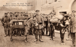 Bayr. Landw. Inf. Regt No. 4 - Maulesel als Lasttrger in den Vogesen - Mrz 1915