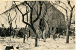Cantonnement 103ème R.I. - 1917 Cantonnement 103ème R.I. - 1917