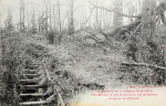 Tranchée dans le bois du Remabois, prčs de Leintrey, occupé par les Allemands Tranchée dans le bois du Remabois, prčs de Leintrey, occupé par les Allemands
