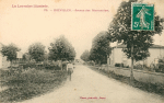 Avenue des marronniers Avenue des marronniers