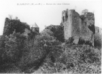 Ruines du vieux Château