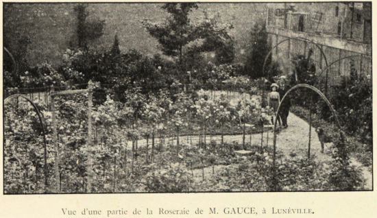 Cliquez pour agrandir Cliquez pour agrandir