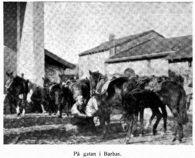 Sven Hedin - 1915 Sven Hedin - 1915