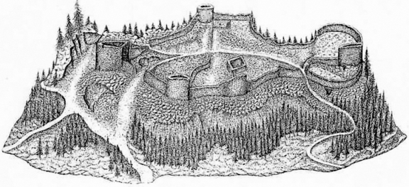 Château de Salm Château de Salm