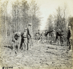 Signal Corps Signal Corps