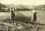 Nancy - Route de Toul - Atelier de camouflage - Transport d'un treillage en rafia roul - 3 avril 1918