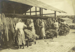 Nancy - Route de Toul - Atelier de camouflage - Schage des toiles de sacs peintes - 3 avril 1918