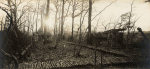 Blémerey (près). Bois de la ferme de l'Étang. Pièce de 155 long camouflée - 12 décembre 1916