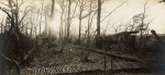 Blémerey (près). Bois de la ferme de l'Étang. Pièce de 155 long camouflée - 12 décembre 1916 Blémerey (près). Bois de la ferme de l'Étang. Pièce de 155 long camouflée - 12 décembre 1916