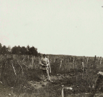 Bois Banal. Centre de rsistance. Rseau de fils de fer devant les tranches - Juillet 1917