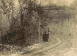 Forêt de Parroy. Camouflage d'une voie ferrée - 21 décembre 1916 Forêt de Parroy. Camouflage d'une voie ferrée - 21 décembre 1916